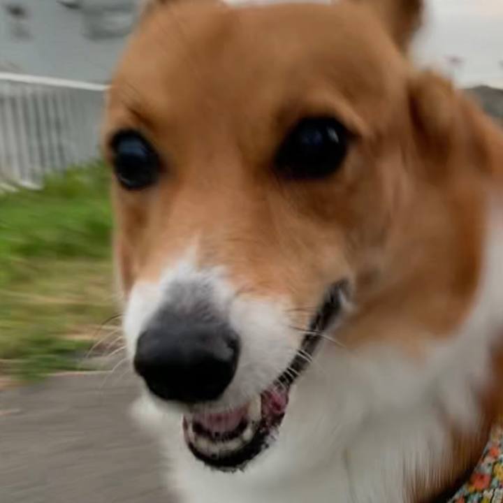 6f7c9137 372c 497e abae 85d6319ef05f 1668500951668