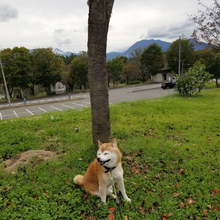 6f7cdce6 4612 413b 9ad5 8919466e82c4 1665284359024