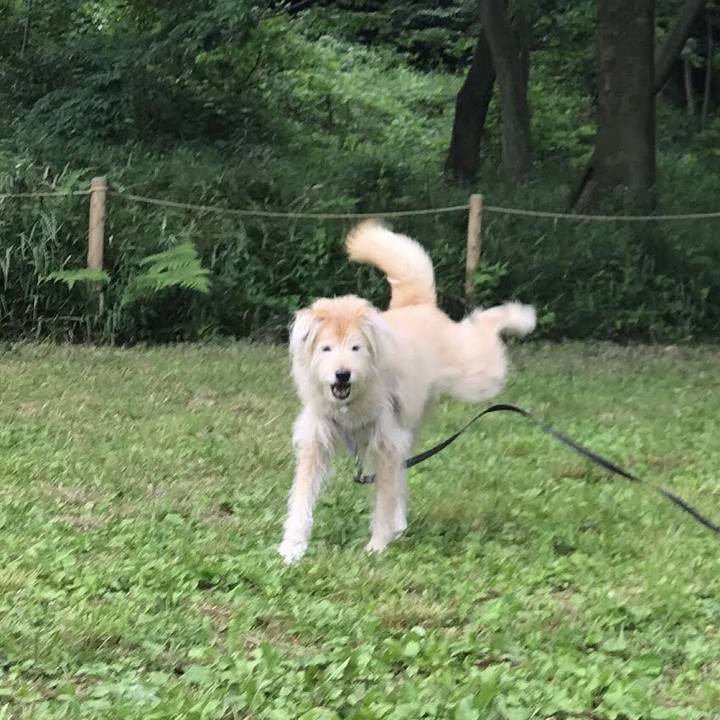 6f7cf843 4a09 4b65 96c8 73e682bf52b3 1592464479247