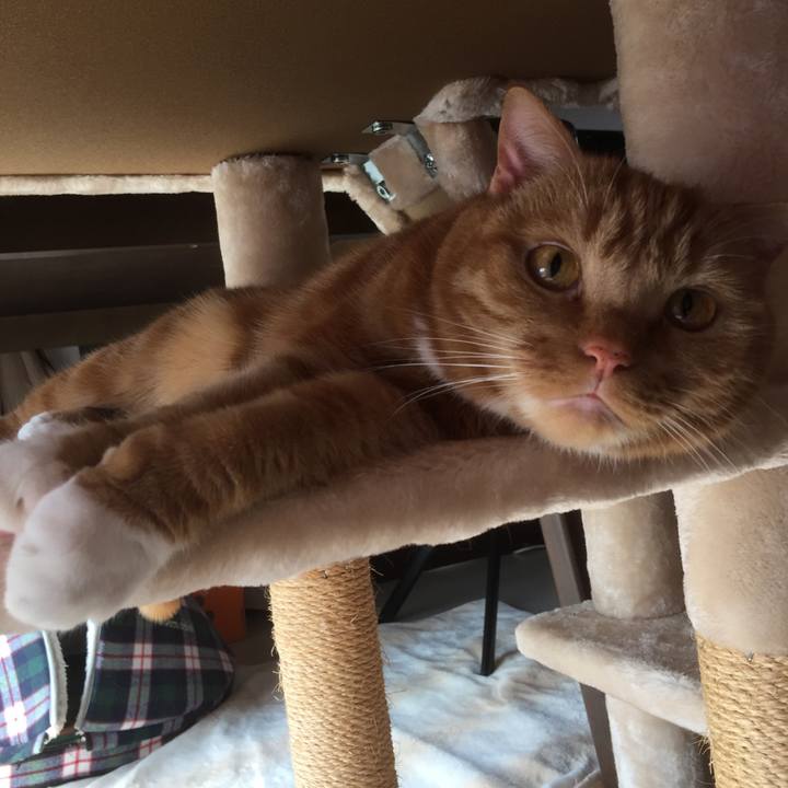 6f7d6179 611f 4d65 8733 b7c5ff920857 1584243825228