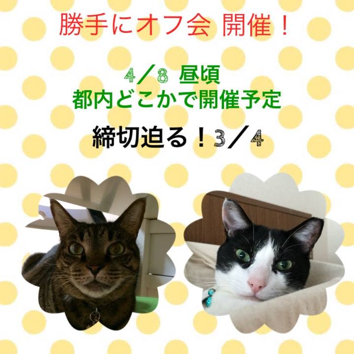 6f7d8413 ae4c 444b 9fc9 ee7f58b5bfdd 1520089055297