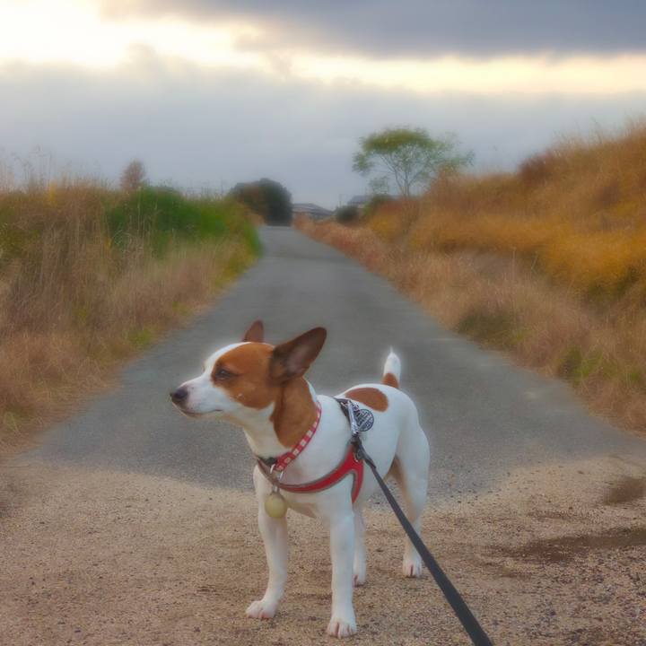 6f7d8598 005a 4f51 92a4 834473bff7f6 1544195649541