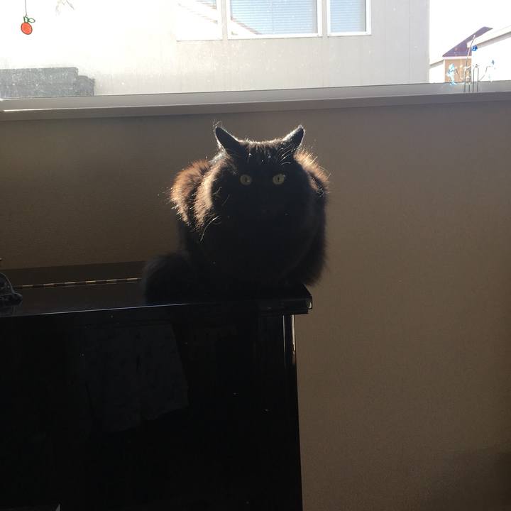 6f7d9b3f 5a23 44d2 b9fb 0b7c61066e01 1555773331832