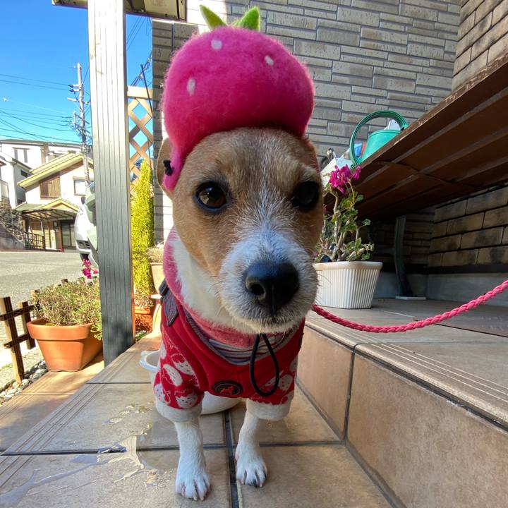 6f7da1ce 6a51 4a46 ac80 539f36971a64 1610683691351