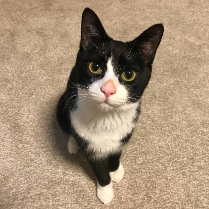 6f7daed3 b704 4721 888f 290c5fc1c4ac 1513343770415