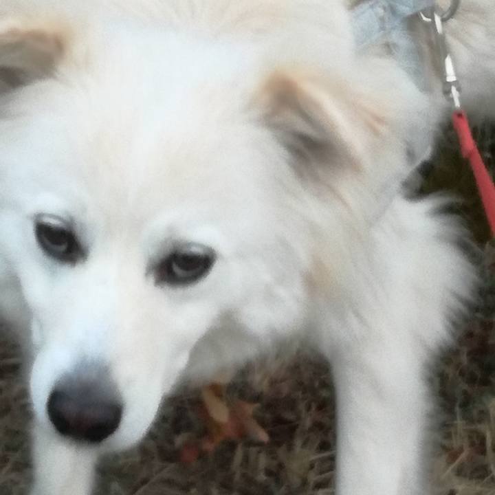 6f7e0557 5781 46e5 9206 627f497cd313 1519085913407