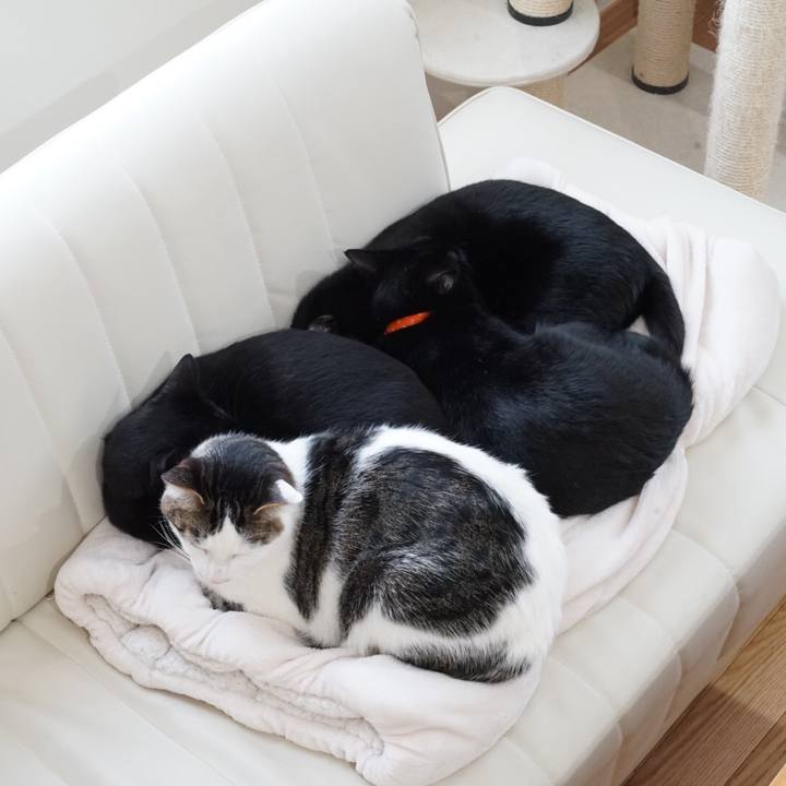 6f7e2968 25a0 4fd0 b709 946e8650c056 1520746263928