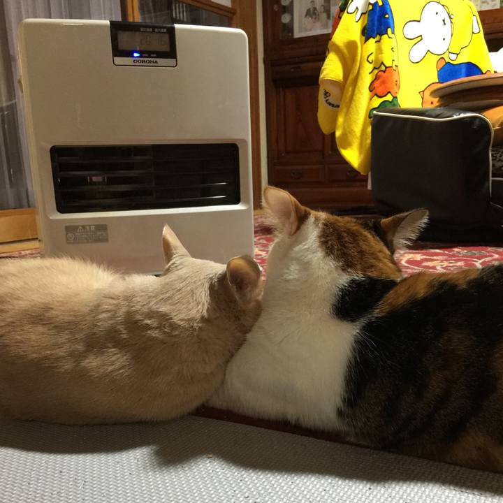 6f7e3f11 1b76 42e9 9f12 b508a83e0012 1673335754185