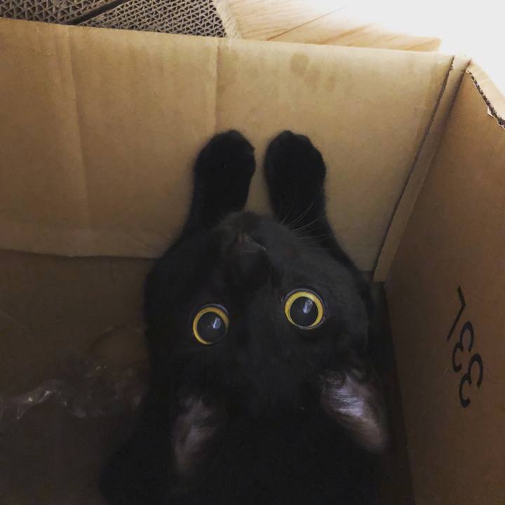 6f7e443a f5ec 4433 b6ee 39b74c47394e 1531936126093