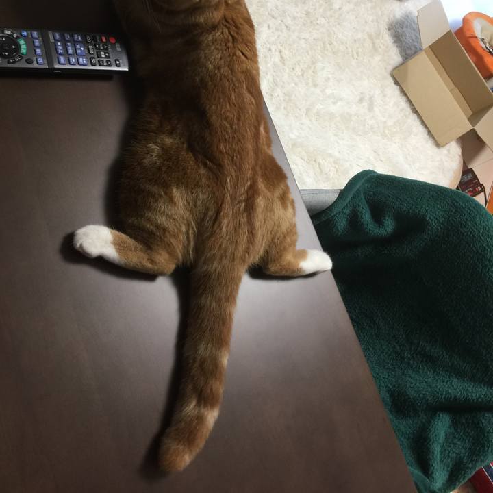 6f7e47d8 fb2c 4a5e a99c 5f4402530556 1509576315600