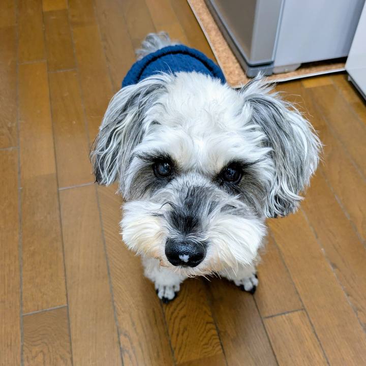 6f7e4f38 647c 4cf5 bd0f 093eb45cfdf5 1763946993093