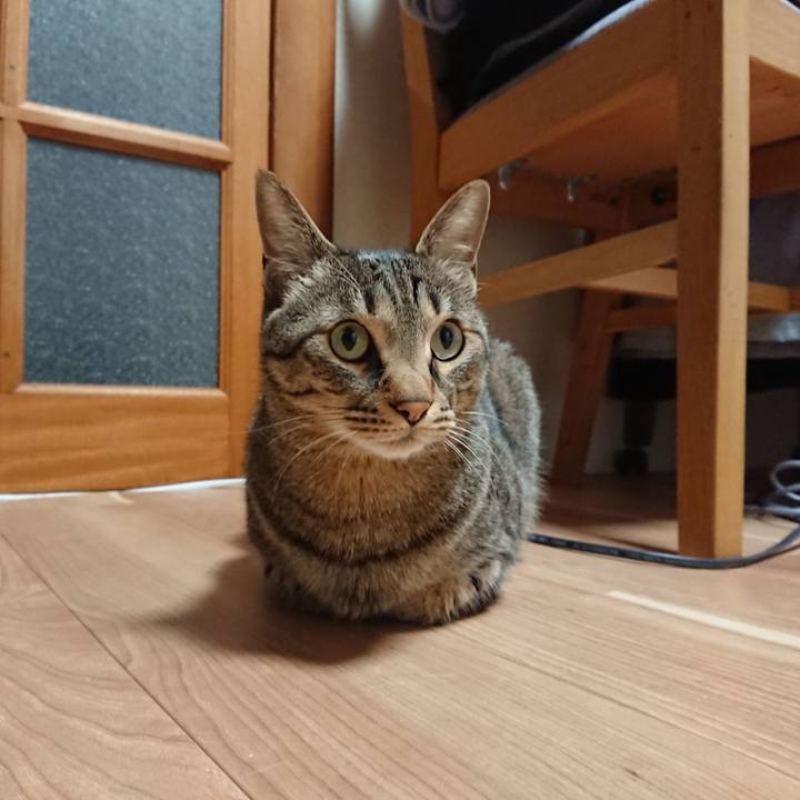 6f7e71a4 7bd4 4e64 9be8 347bc555d51a 1557336603281