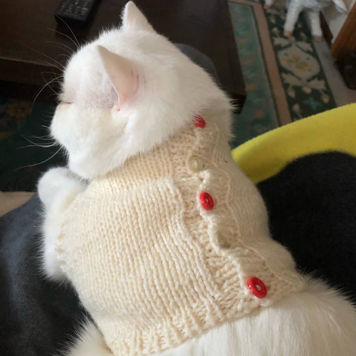 6f7e7901 47fc 4e22 889f 2804f1358151 1667113011740