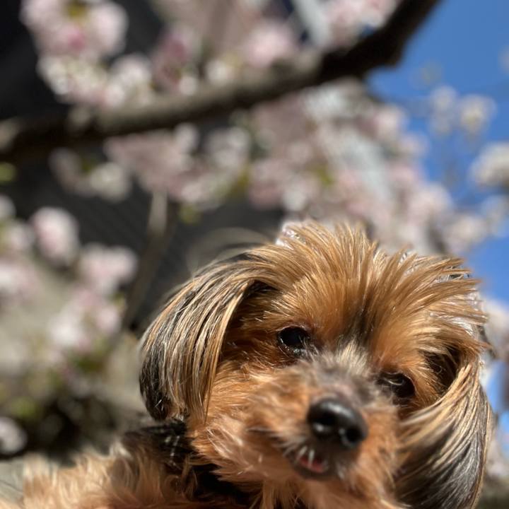 6f7e9771 c10a 4a60 9896 0d65ee44af44 1712526227088