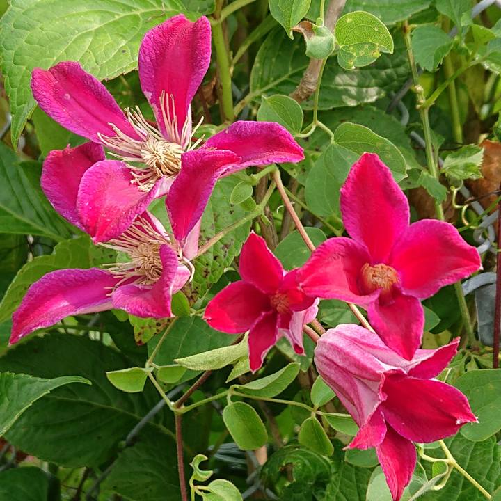 6f7ea052 4091 47f6 868b 8bcde50556a2 1655092341162