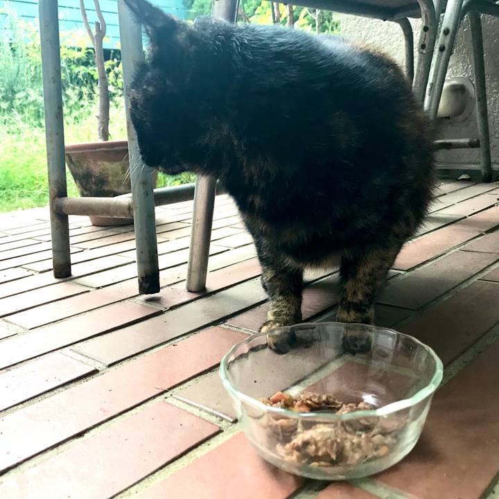 6f7edac8 bc8e 4910 bd5a 619c9cce45ce 1572764227371