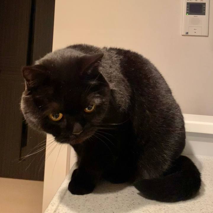 6f7f0870 6045 4ecd a2f7 7931e3d9db51 1772453343783