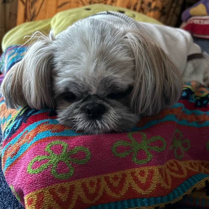 6f7f55c6 9a8f 48dc b1b9 dc47c12b101c 1731551944662