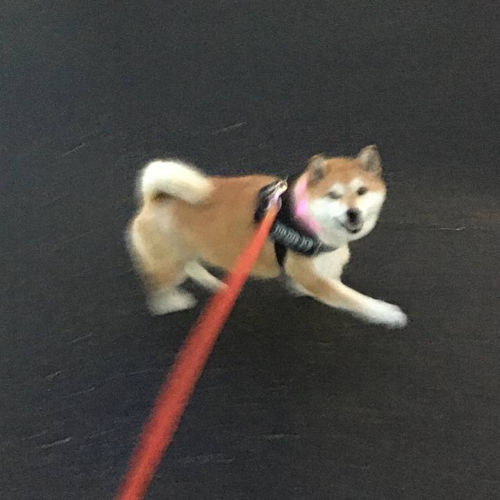 6f7f69dd 81bf 4a82 b985 0e4084724579 1592044808132