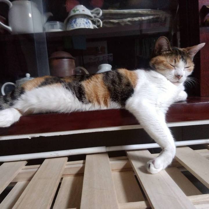 6f7f8001 10f8 4ca5 8c2a 043761cfcdd6 1637403130136