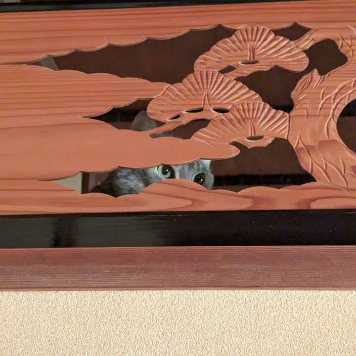 6f7fab47 4478 420d b382 11b00d62abac 1701837310864