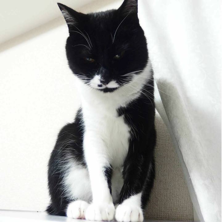 6f7fbc61 a213 46ae bcd9 d160e25a6d05 1529668576728