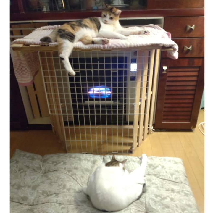 6f7ff775 aecd 4ea7 8c74 33460eb6c938 1726972048634