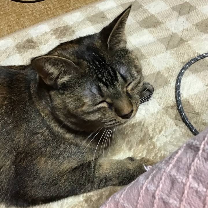 6f8020cf 177a 4812 a0c4 08e3b9f968ac 1669033260204