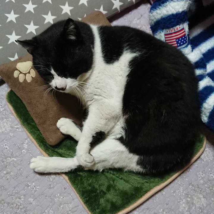 6f803bcb 0f87 4cfc 940a fe408ee37b29 1551710395334