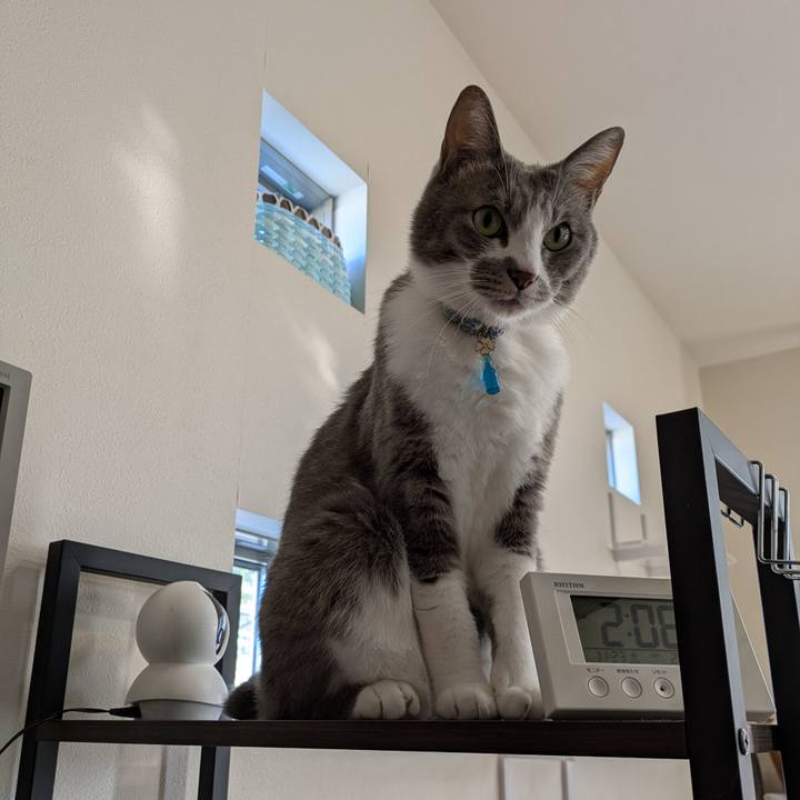 6f807e7e 4f26 43bd 8eb9 e9b0230a6506 1732348430101