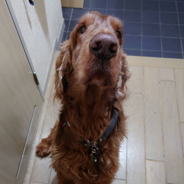 6f808633 3fe2 4da9 8beb 626468dc4efc 1612911136989