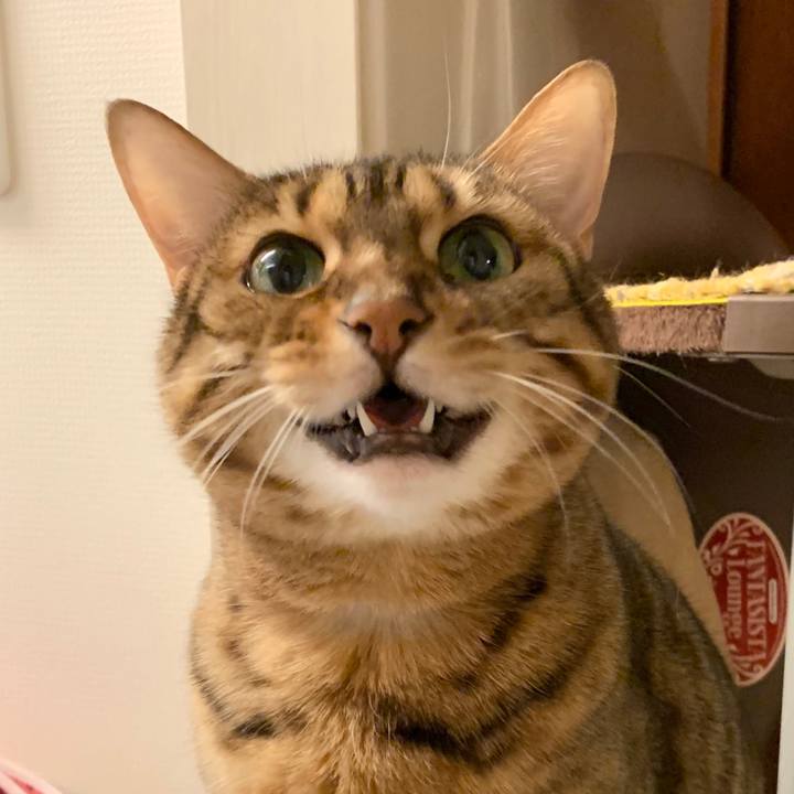 6f808a25 c1e5 44ea b83a eca71243fdbd 1581811770650