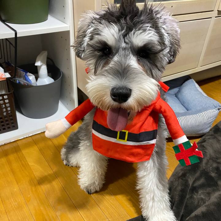 6f80bf5c bd1f 49c8 be3c 50f38b56306f 1575468257794