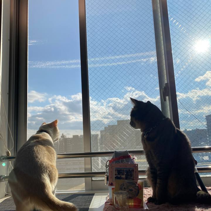 6f80c132 07d9 4986 88dc 0fbdd5b6d137 1641451944073