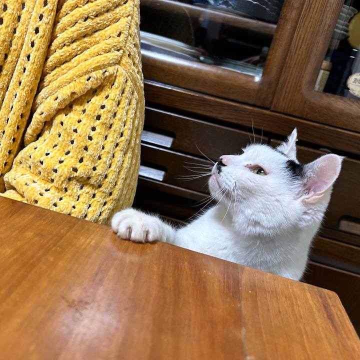 6f80cf46 b9ec 4fb7 9990 8ebfe48dab73 1767534327066