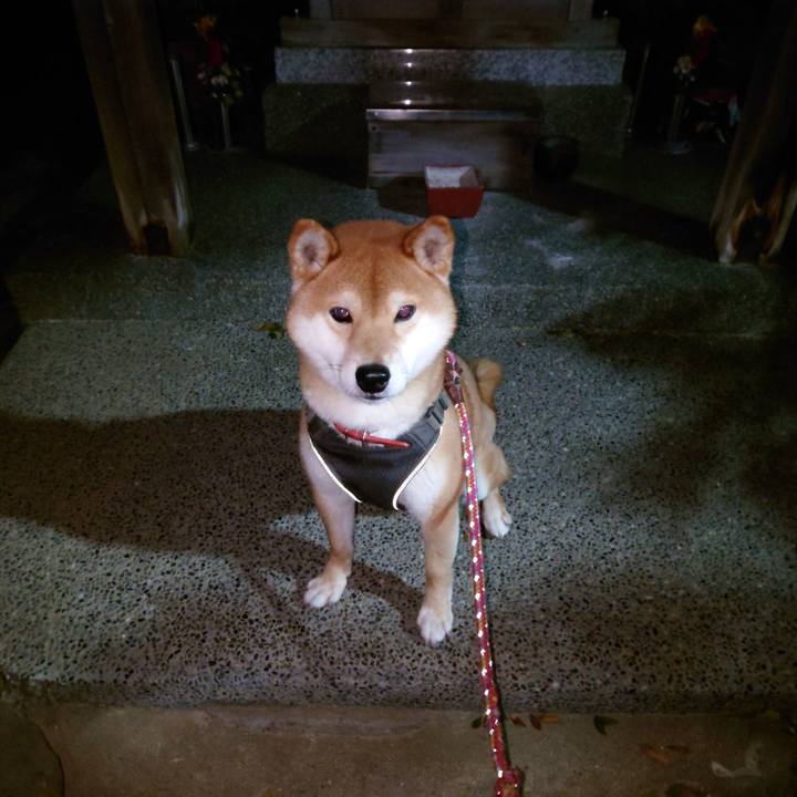 6f810009 024c 4d82 b603 bef87f3d3806 1769403169135