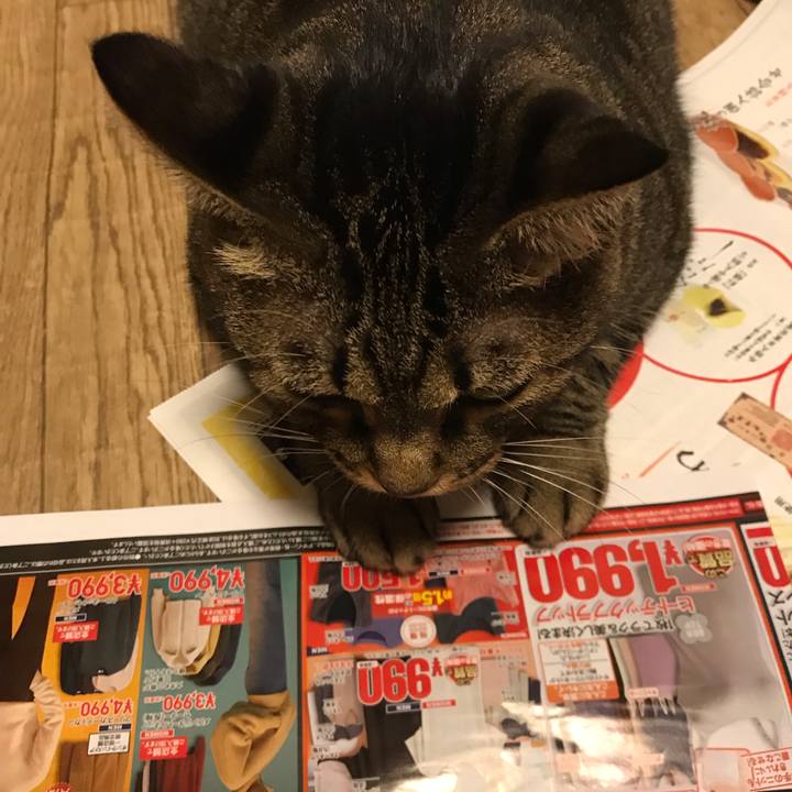 6f810924 a0f2 4e8b b146 c1c00cfbb9b7 1540680704913