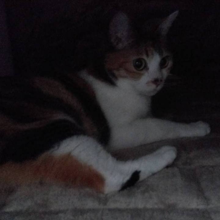 6f81705f 0558 45ea b665 b69165369d33 1701233587231