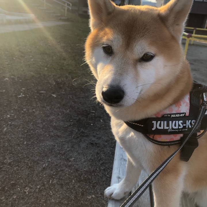 6f8193a2 12e7 4ca7 a2cc e1c80ae0100d 1555148864423