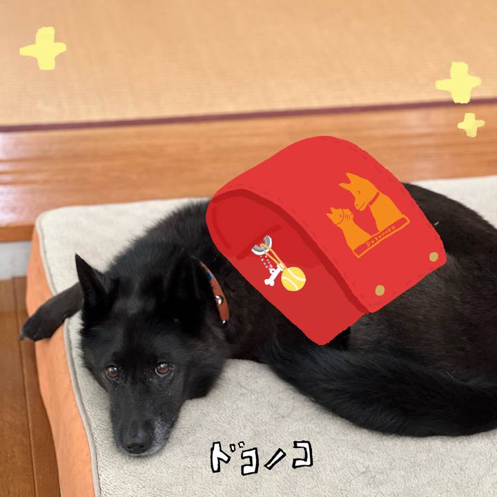 6f81b858 40f1 4044 b5a7 5d752bcf588f 1744419370377