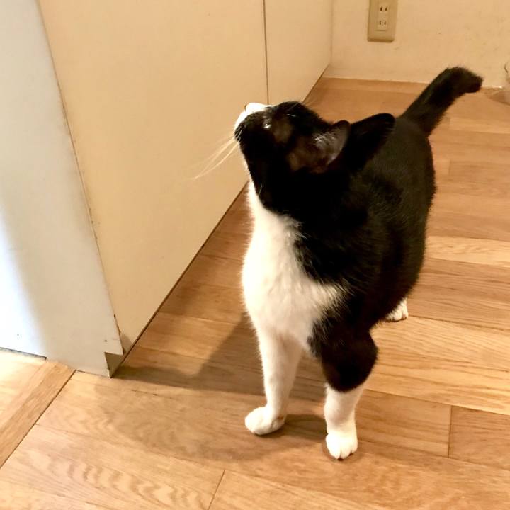 6f81cb2e 2a7c 408b a755 b3b7f1c94211 1522748400432