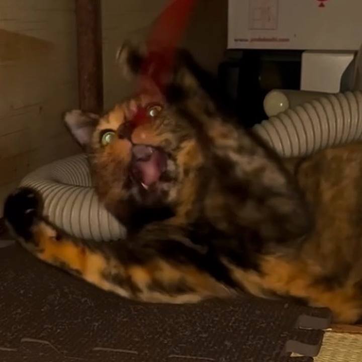 6f81ebf5 a87e 4bea 83a9 0a41419b8d83 1758143449545