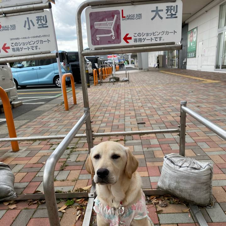 6f82131b a3ee 4ef7 94aa ba0a3046e820 1619870193708