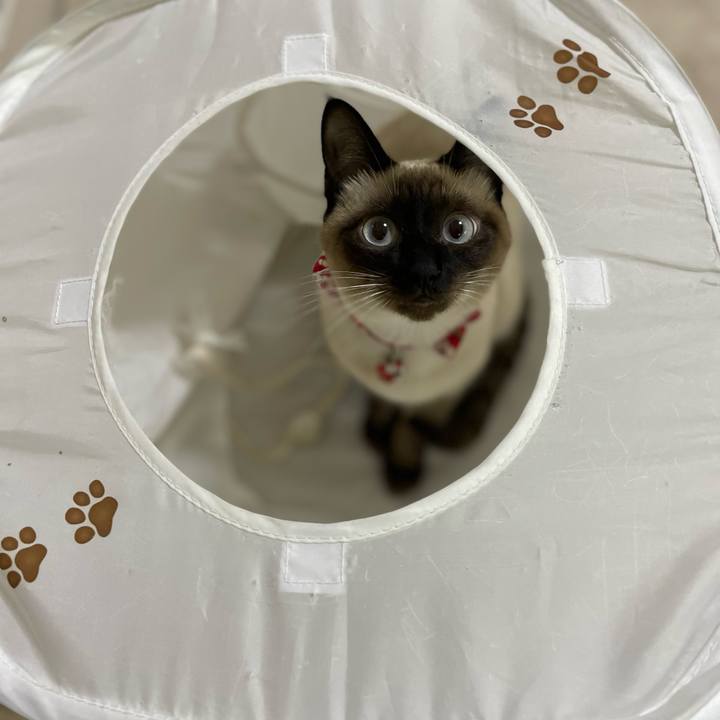 6f8220b5 5750 4338 9e31 c3c74edac209 1710186800290