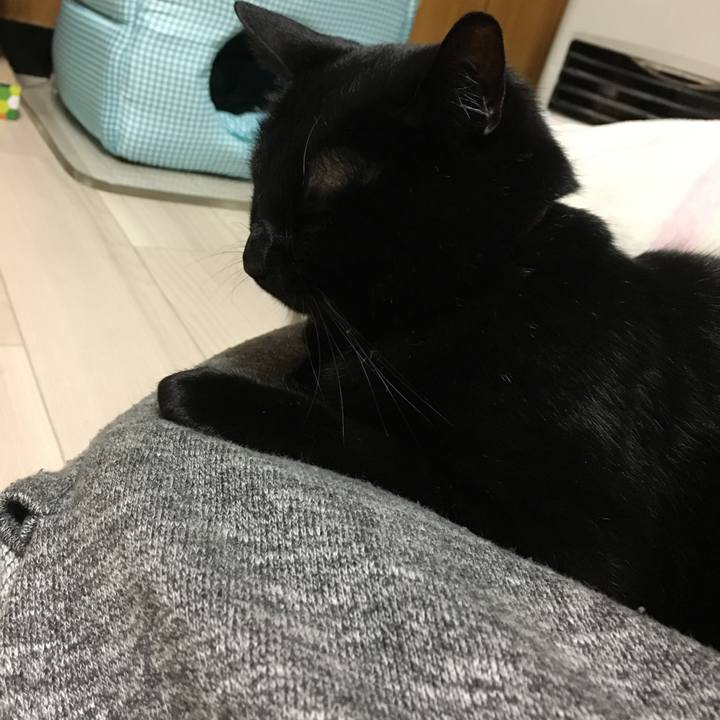 6f8223af c669 4157 8ca5 ed28346776a3 1515399582401