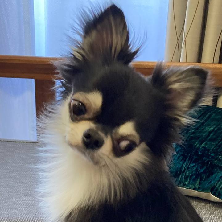 6f823d26 06ae 4476 898b 2f199573249e 1634997177990