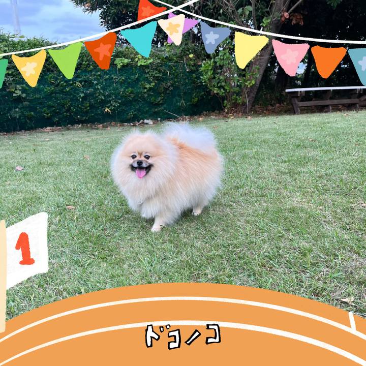 6f824bec 080b 4185 8611 b501b97587ce 1761484911439