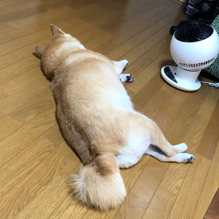 6f827a57 6c49 4bf7 884a 2d1e63d0a991 1598595094745