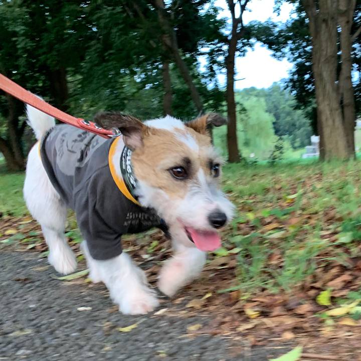 6f82817f 1b14 40fd 9e42 59aaddd945a8 1599213243883