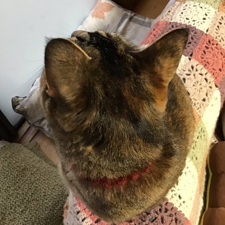 6f82a086 d3f6 4074 ae81 34dc396c0087 1638312995030